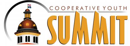 youth summit logo