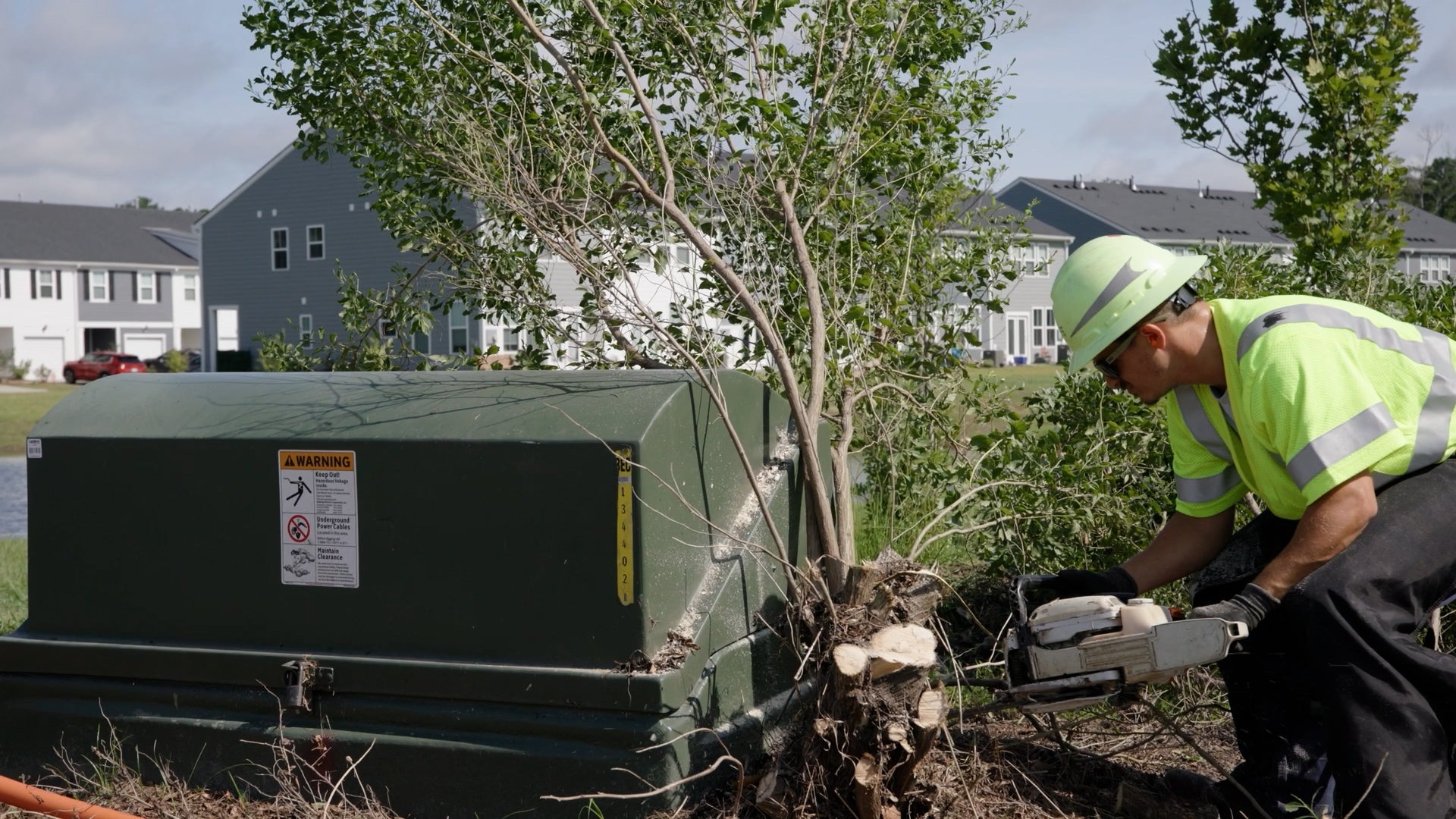 Roots growing into padmount transformer cabinet
