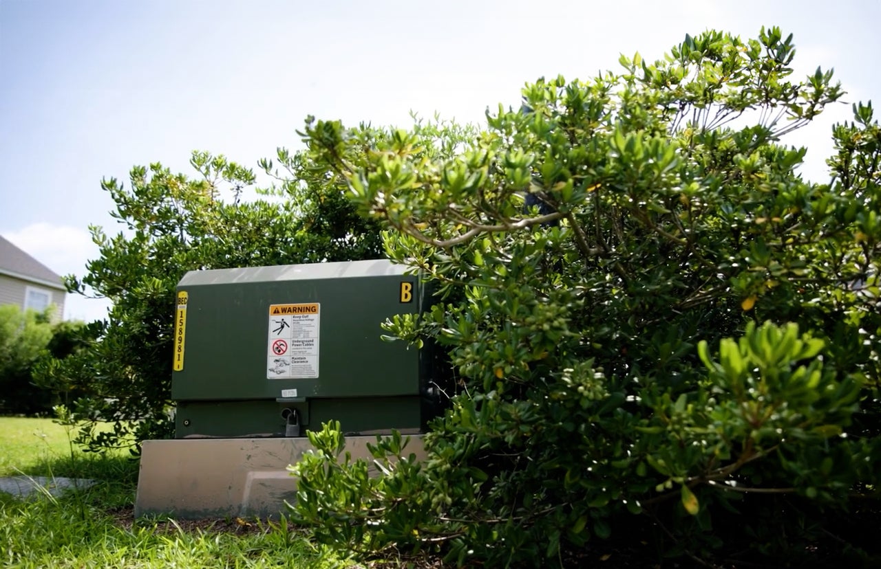 green electrical equipment box overgrown by bush