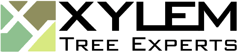 Xylem Tree Experts logo