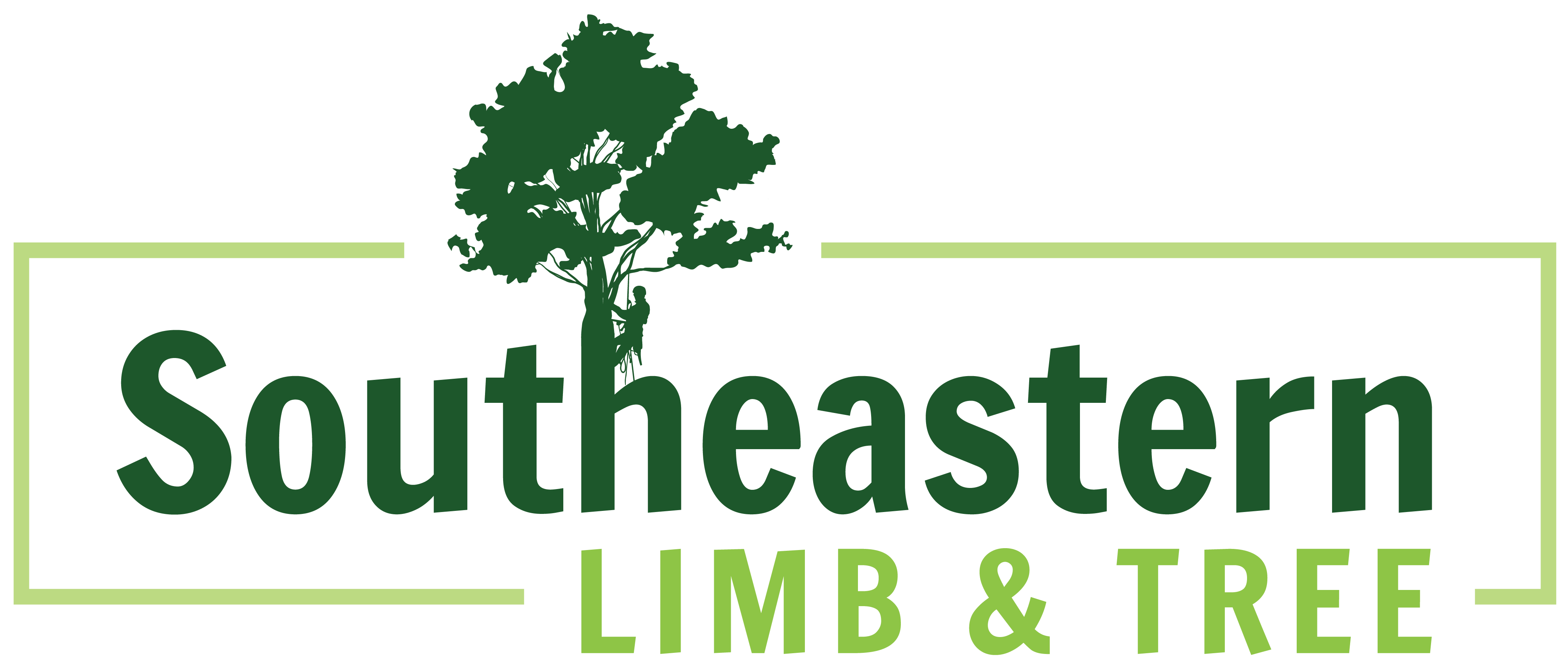 Southeastern Limb & Tree